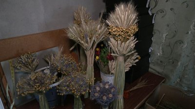 «Обов'язково треба показувати людям»: хмельничанка вирощує понад два десятки видів сухоцвітів та створює з них декор «Обов'язково треба показувати людям»: хмельничанка вирощує понад два десятки видів сухоцвітів та створює з них декор