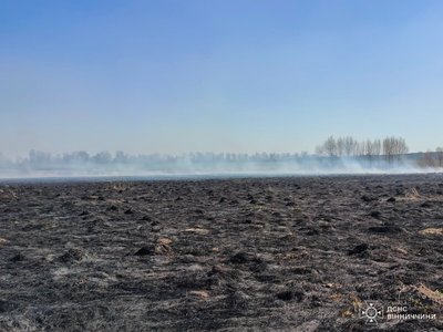На Вінниччині загинула жінка під час пожежі в екосистемі: подробиці На Вінниччині загинула жінка під час пожежі в екосистемі: подробиці
