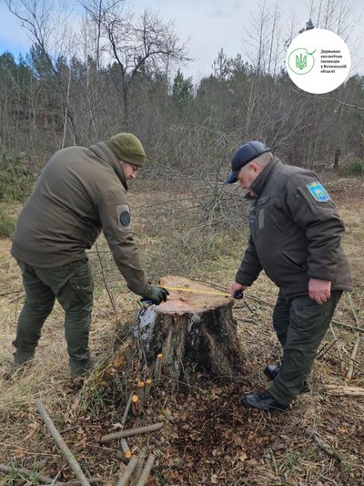 Рубка лісу на Волині призвела до збитків на 2,6 мільйона гривень Рубка лісу на Волині призвела до збитків на 2,6 мільйона гривень