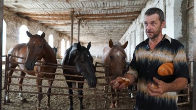"Ми їх миємо, чистимо": як живуть тварини на фермі за два кілометри від кордону з РФ "Ми їх миємо, чистимо": як живуть тварини на фермі за два кілометри від кордону з РФ