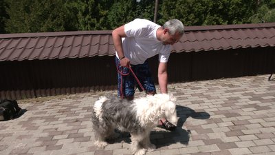 Каністерапія для поранених бійців