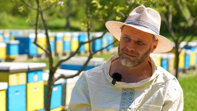 Зміна клімату, шершні, хімікати: що загрожує бджолам і як вберегти пасіку — поради черкаського пасічника