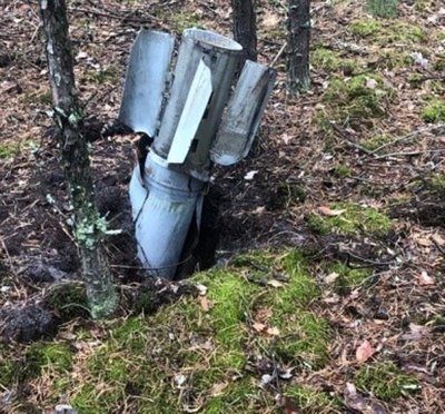відновлення лісу відновлення лісу