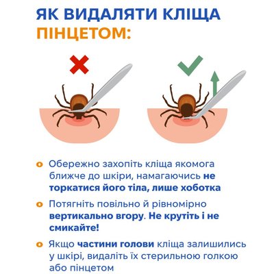 кліщики кліщики