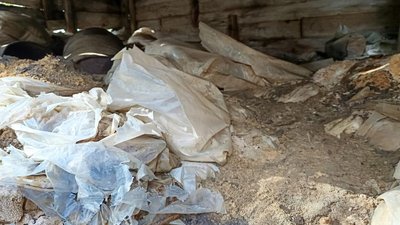 Пестициди на Чернігівщині: понад 30 тонн зібрали у 5 громадах області Пестициди на Чернігівщині: понад 30 тонн зібрали у 5 громадах області