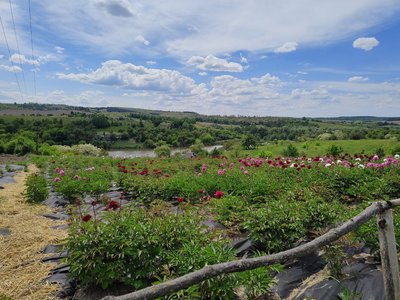 Довгоочікувані зустрічі і незламні люди — 2024 рік на Черкащині у світлинах Суспільного Довгоочікувані зустрічі і незламні люди — 2024 рік на Черкащині у світлинах Суспільного