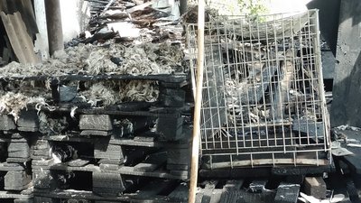У Ніжині горів притулок для тварин, де утримують близько 90 собак У Ніжині горів притулок для тварин, де утримують близько 90 собак