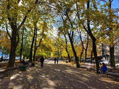 Осіння фотопрогулянка Шодуарівським парком у Житомирі Осіння фотопрогулянка Шодуарівським парком у Житомирі