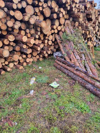 На Житомирщині 14-річного хлопця знайшли без свідомості на території дитсадка На Житомирщині 14-річного хлопця знайшли без свідомості на території дитсадка