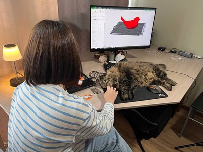 У Луцьку дизайнерка розвиває 3D-друк, поки її чоловік служить у війську У Луцьку дизайнерка розвиває 3D-друк, поки її чоловік служить у війську