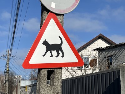 Поранена через обстріли, збій у Резерв+, наступ на Дніпро, ліквідація "офісу". Головні новини Дніпра та області 8 лютого Поранена через обстріли, збій у Резерв+, наступ на Дніпро, ліквідація "офісу". Головні новини Дніпра та області 8 лютого