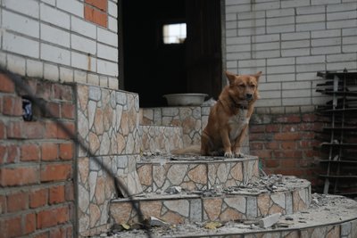 “Я ж плити не підійму, а там лише ноги стирчали”: наслідки удару “шахедами” по Тростянцю “Я ж плити не підійму, а там лише ноги стирчали”: наслідки удару “шахедами” по Тростянцю