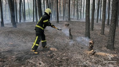 До медиків звернулись шестеро людей: на Черкащині спалахнув ліс До медиків звернулись шестеро людей: на Черкащині спалахнув ліс