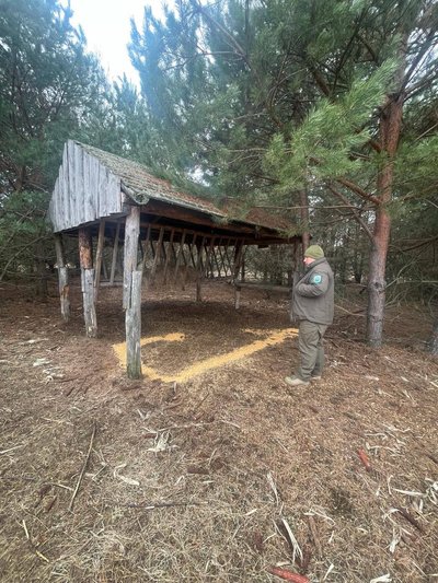 Чисельність не відновлюється, попри заборону на полювання: на Житомирщині тривають заходи з обліку мисливських тварин Чисельність не відновлюється, попри заборону на полювання: на Житомирщині тривають заходи з обліку мисливських тварин