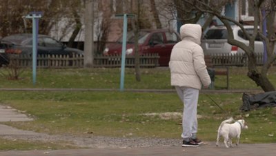 В Україні запрацює Єдиний державний реєстр домашніх тварин. Що кажуть власники тварин та ветлікарі у Черкасах В Україні запрацює Єдиний державний реєстр домашніх тварин. Що кажуть власники тварин та ветлікарі у Черкасах