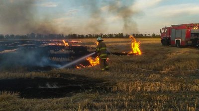 Вигоріло близько п'яти гектарів: на Черкащині за добу сталися дев'ять пожеж на відкритих територіях Вигоріло близько п'яти гектарів: на Черкащині за добу сталися дев'ять пожеж на відкритих територіях