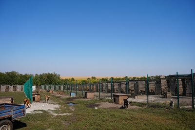 тварини евакуація Донеччина притулок "Пегас" волонтери допомога Малозахарине Дніпропетровська область 16 вересня 2024 рік тварини евакуація Донеччина притулок "Пегас" волонтери допомога Малозахарине Дніпропетровська область 16 вересня 2024 рік