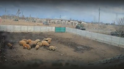Подружжя фермерів з Чернігова позивається до Віктора Януковича та "Газпрому" та вимагає компенсації