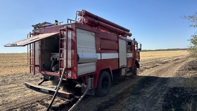 У Миколаївській області горіла лісосмуга. Полум'я охопило п'ять гектарів земель У Миколаївській області горіла лісосмуга. Полум'я охопило п'ять гектарів земель