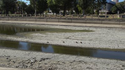 У центрі Кропивницького понизили рівень води в Інгулі: екологи попереджають про можливу загибель риби У центрі Кропивницького понизили рівень води в Інгулі: екологи попереджають про можливу загибель риби