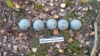 На Чернігівщині виявили залишки збитої російської ракети Х-59 з касетною бойовою частиною На Чернігівщині виявили залишки збитої російської ракети Х-59 з касетною бойовою частиною