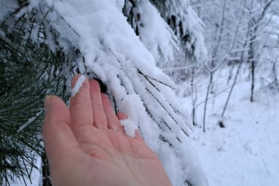 пожежа пожежа