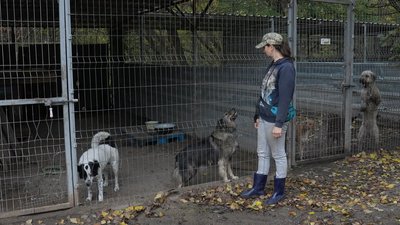У Кропивницький з Донеччини евакуювали двох собак, яких під обстрілами годував військовий У Кропивницький з Донеччини евакуювали двох собак, яких під обстрілами годував військовий