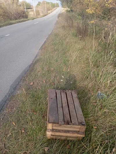 На виїзді зі Звягеля знайшли сім цуценят, яких закрили цвяхами у ящику На виїзді зі Звягеля знайшли сім цуценят, яких закрили цвяхами у ящику