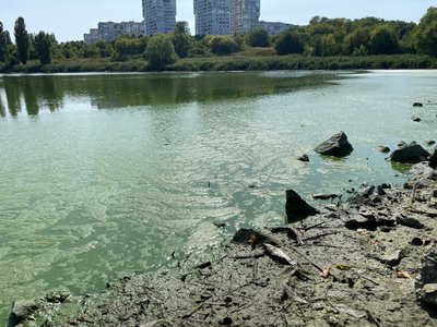 У Полтаві продовжують забруднювати Пушкарівські ставки: хто до цього причетний У Полтаві продовжують забруднювати Пушкарівські ставки: хто до цього причетний