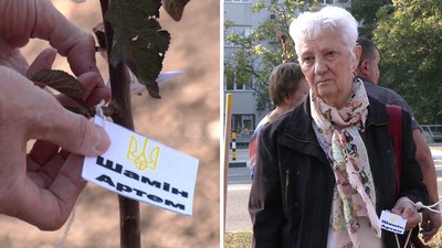 У Кропивницькому до ювілею міста й у пам'ять про загиблих військових висадили 270 дерев У Кропивницькому до ювілею міста й у пам'ять про загиблих військових висадили 270 дерев