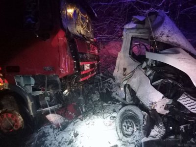 Смертельна ДТП на Київщині: лісовоз зіштовхнувся з вантажівкою Смертельна ДТП на Київщині: лісовоз зіштовхнувся з вантажівкою