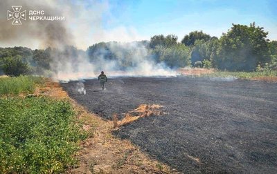 Самозаймання та необережність: на Черкащині за добу виникло 15 пожеж в екосистемах Самозаймання та необережність: на Черкащині за добу виникло 15 пожеж в екосистемах