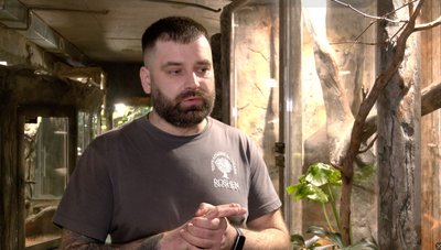 "Надіюсь, що змія нам допоможе в цьому році": яким є символ 2025 "Надіюсь, що змія нам допоможе в цьому році": яким є символ 2025