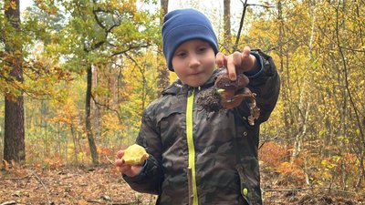 «Я в лісі з дитинства і привчаю до цього своїх дітей»: історія грибника зі Львівщини «Я в лісі з дитинства і привчаю до цього своїх дітей»: історія грибника зі Львівщини