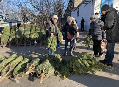Херсон, ялинки, Новий рік Херсон, ялинки, Новий рік