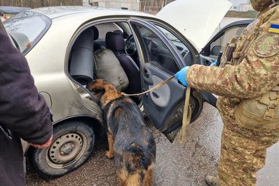 Службовий собака кінологічної групи 5 Слобожанської бригади "Скіф" НГУ Службовий собака кінологічної групи 5 Слобожанської бригади "Скіф" НГУ