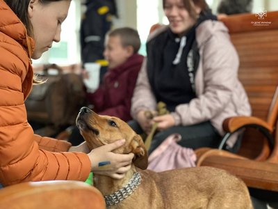 16 жителів Донеччини приїхали на Житомирщину черговим евакуаційним потягом 16 жителів Донеччини приїхали на Житомирщину черговим евакуаційним потягом