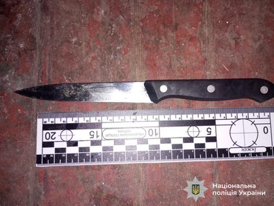 Ножем у спину: на Вінниччині матір підозрюють в замаху на вбивство доньки Ножем у спину: на Вінниччині матір підозрюють в замаху на вбивство доньки
