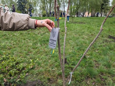 У Житомирі в пам'ять про загиблих військових висадили 22 дерева біля Монументу слави У Житомирі в пам'ять про загиблих військових висадили 22 дерева біля Монументу слави