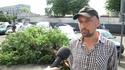 Негода на Житомирщині: повалені дерева та обірвані лінії електропередач Негода на Житомирщині: повалені дерева та обірвані лінії електропередач