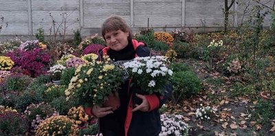 Господиня показала, як її квіти розцвітають восени, жовтень 2025 року, Хмельниччина Господиня показала, як її квіти розцвітають восени, жовтень 2025 року, Хмельниччина
