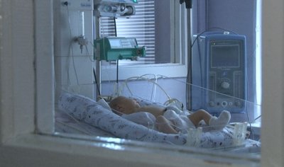 Грудне вигодовування — черкаські лікарі пояснили, як воно впливає на дітей та матерів Грудне вигодовування — черкаські лікарі пояснили, як воно впливає на дітей та матерів