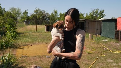 Лікує, вакцинує і шукає родини: кропивничанка створила притулок для котів і собак