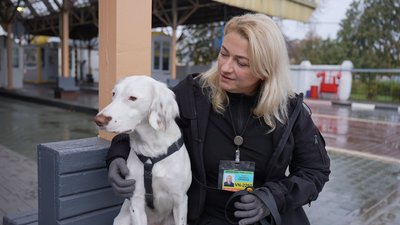 Нюх проти контрабанди: як службові собаки з Вінниччини знаходять зброю і наркотики Нюх проти контрабанди: як службові собаки з Вінниччини знаходять зброю і наркотики