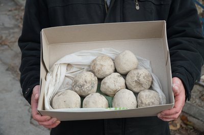 "Нам є, що шукати". Історик з Нікополя розповів про знахідки на дні колишнього Каховського водосховища "Нам є, що шукати". Історик з Нікополя розповів про знахідки на дні колишнього Каховського водосховища