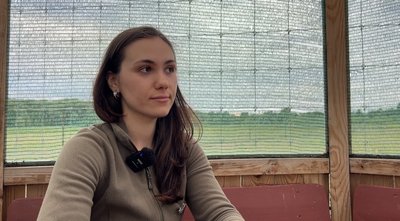Олені, лані та муфлони: з Краснопільської громади евакуювали понад 100 тварин Олені, лані та муфлони: з Краснопільської громади евакуювали понад 100 тварин