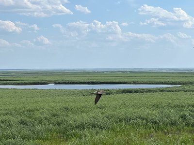 Без "моря" та води. Як жителі Дніпропетровщини через підрив Каховської ГЕС залишилися без водопостачання Без "моря" та води. Як жителі Дніпропетровщини через підрив Каховської ГЕС залишилися без водопостачання