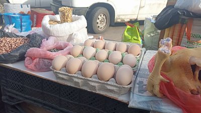 Зростають ціни на яйця: скільки коштує цей продукт в Житомирі та від чого залежить його ціна Зростають ціни на яйця: скільки коштує цей продукт в Житомирі та від чого залежить його ціна