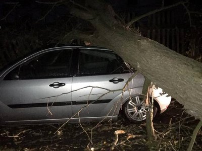Поривами вітру повалило дерево на машину у Коростишеві Поривами вітру повалило дерево на машину у Коростишеві