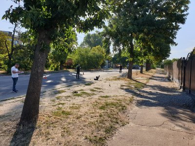 У Кропивницькому неподалік автобусної зупинки знайшли тіло чоловіка У Кропивницькому неподалік автобусної зупинки знайшли тіло чоловіка